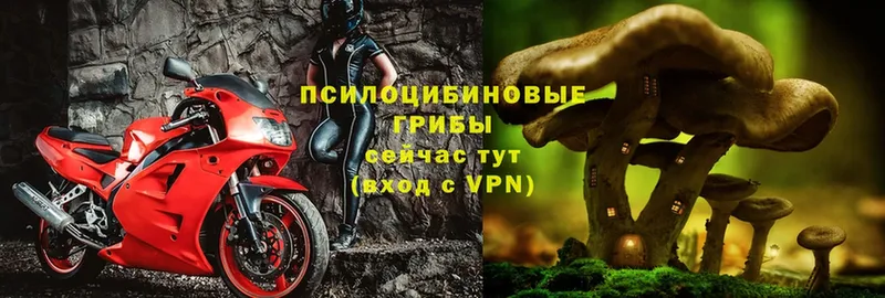 Псилоцибиновые грибы ЛСД  Дюртюли 